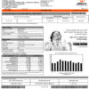 editable template, Philippines Meralco electricity utility bill template, fully editable in PSD format