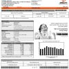 editable template, Philippines Meralco electricity utility bill template in Word and PDF format