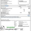 editable template, Moldova Moldtelecom utility bill template in Word and PDF format, fully editable