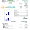 editable template, Australia Momentum Energy utility bill template in Word and PDF format