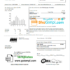 editable template, USA South Dakota Black Hills Energy utility bill template in Word and PDF format