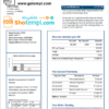 editable template, Somalia NESCOM Company electricity utility bill template in Word and PDF format