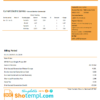 editable template, Tajikistan Barqi Tojik Company electricity utility bill template in Word and PDF format