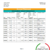 editable template, South Africa FNB bank statement easy to fill template in Excel and PDF format