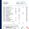 editable template, Netherlands NIBC Bank statement easy to fill template in Word and PDF format