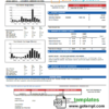 editable template, USA NorthWestern Energy utility bill template in Word and PDF format, version 2