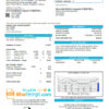 editable template, # ocean spout universal multipurpose utility bill template in Word format