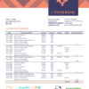 editable template, # orange pattern universal multipurpose bank statement template in Word format