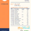 editable template, # orange tech universal multipurpose bank statement template in Word format