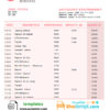 editable template, # pink gleam universal multipurpose bank statement template in Word format