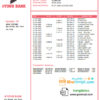 editable template, # pink scarf universal multipurpose bank statement template in Word format