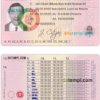 Portugal driver license PSD template