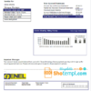 editable template, Nicaragua Nicaraguan Electricity Company ENEL electricity utility bill template in Word and PDF format