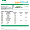 editable template, # green shape universal bank multipurpose statement template in Word format