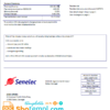 editable template, Senegal Senelec Agence Sacré Coeur Company electricity utility bill template in Word and PDF format