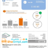 editable template, USA Vermont Green Mountain Power electricity utility bill in Word and PDF format