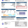 editable template, USA Illinois North Park Public Water District IL utility bill template in Word and PDF format