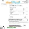 editable template, Belgium Electrabel electricity utility bill template, fully editable in Word and PDF format