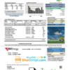 editable template, USA Nevada NV Energy utility bill template in Word and PDF format