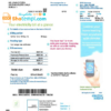 editable template, Ireland Electric Ireland utility bill template in Word and PDF format