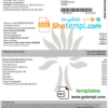 editable template, Romania Enel electricity proof of address utility bill template in Word and PDF format (.doc and .pdf)