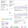 editable template, # pink realm universal multipurpose electricity and gas statement template in Word format