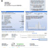 editable template, USA Washington City of Lacey water utility bill template in Word and PDF format (proof of address)