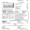 editable template, USA Texas CPS utility bill template in Word and PDF format