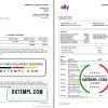 editable template, USA Ally Bank statement template in Excel and PDF format (4 pages)
