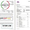 editable template, USA Ally Bank statement template in Word and PDF format (4 pages)
