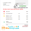 editable template, USA Verizon telecommunications utility bill template in Word and PDF format