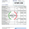 editable template, Romania Alpha Bank statement easy to fill template in Excel and PDF format