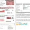 editable template, USA Wyoming High West Energy utility bill in Word anf PDF format (2 pages)