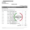 editable template, Singapore DBS bank proof of address statement template in .xls and .pdf format