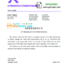 editable template, # promote strength bank universal multipurpose bank account reference template in Word and PDF format
