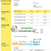 editable template, # micro iron universal multipurpose tax invoice template in Word and PDF format, fully editable