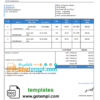 editable template, # care module universal multipurpose tax invoice template in Word and PDF format, fully editable