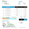 editable template, # spire live universal multipurpose professional invoice template in Word and PDF format, fully editable
