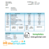 editable template, # universal multipurpose bank statement template in Word format