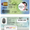 editable template, Brazil ID template in PSD format (from 2009)