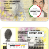 editable template, Colombia ID template in PSD format, fully editable (2010 - 2020)