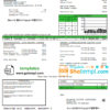 editable template, USA Delaware Electric Co-op utility bill template in Word and PDF format