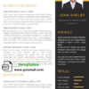 editable template, Modern Resume template in WORD format 2