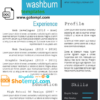 editable template, Professional and modern CV template in WORD format.