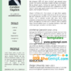 editable template, Modern Resume in WORD format 1