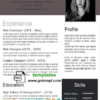editable template, Fully Editable Curriculum Vitae (CV) in WORD format