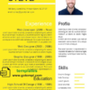 editable template, Professional Resume Template in WORD formatcc