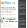 editable template, Your Stylish CV template is here in WORD format