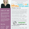 editable template, Professional Resume Template in WORD format 2