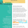 editable template, Modern and Fully Editable CV template in WORD format